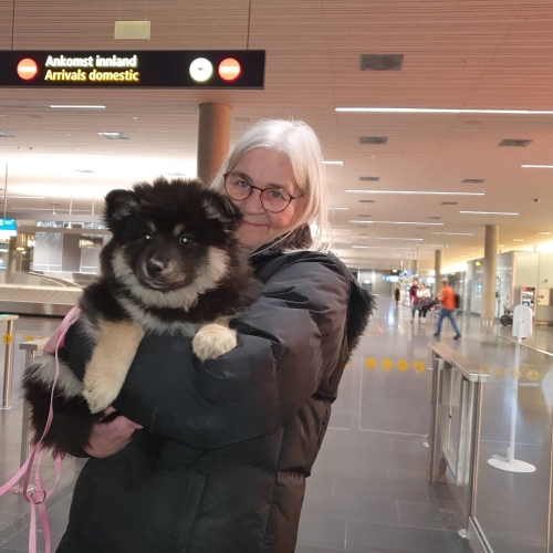 I lufthavnen 10 uger