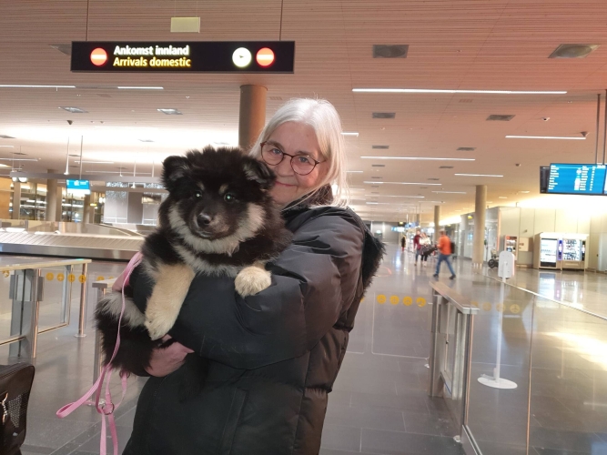 I lufthavnen 10 uger
